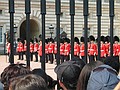 The Old Guard standing in the forecourt of Buckingham Palace