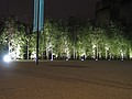 Trees in front of Tate Modern