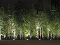 Trees in front of Tate Modern - detail