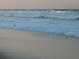 Beach in the evening