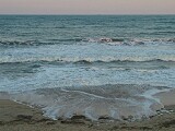 Beach in the evening