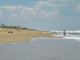 On the beach