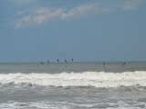 On the beach